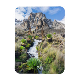 Central Mount Kenya National Park Magnet