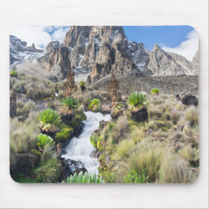 Central Mount Kenya National Park Mouse Pad