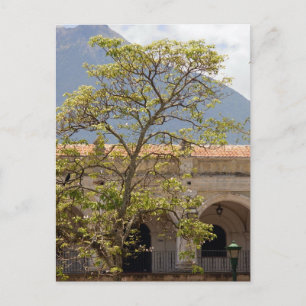 Central Park, Antigua Postcard