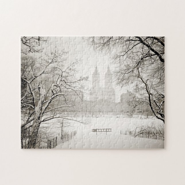 Central Park - Beautiful Winter Snow Jigsaw Puzzle (Horizontal)