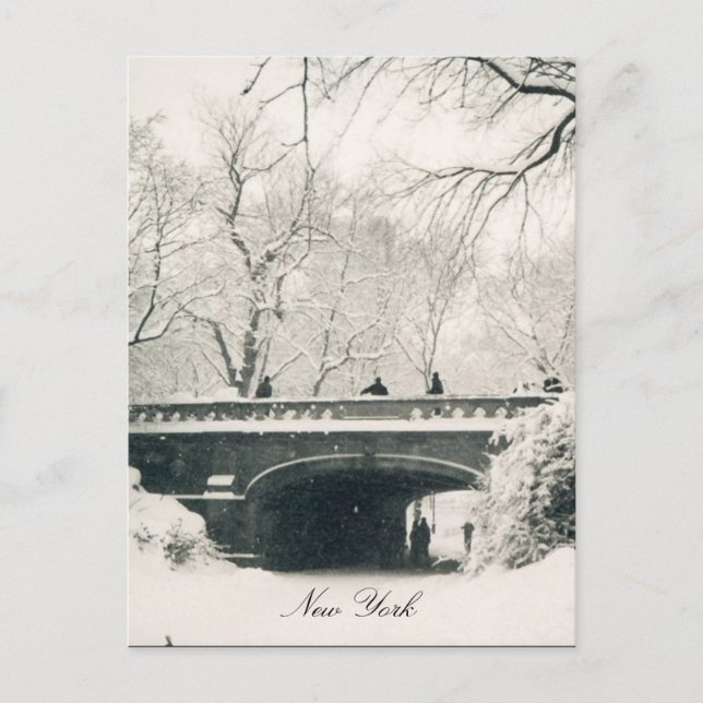central park bridge postcard (Front)