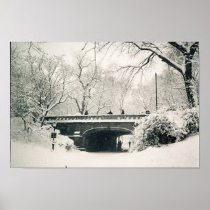 central park bridge poster