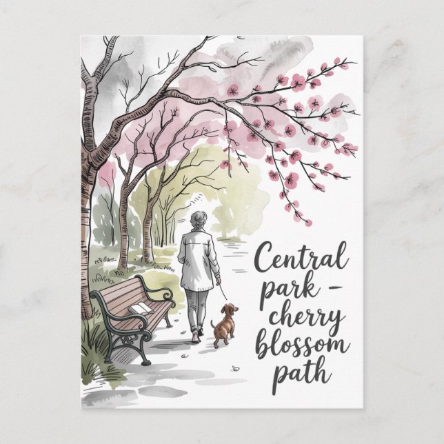 Central Park cherry blossom walkway Postcard (Front)