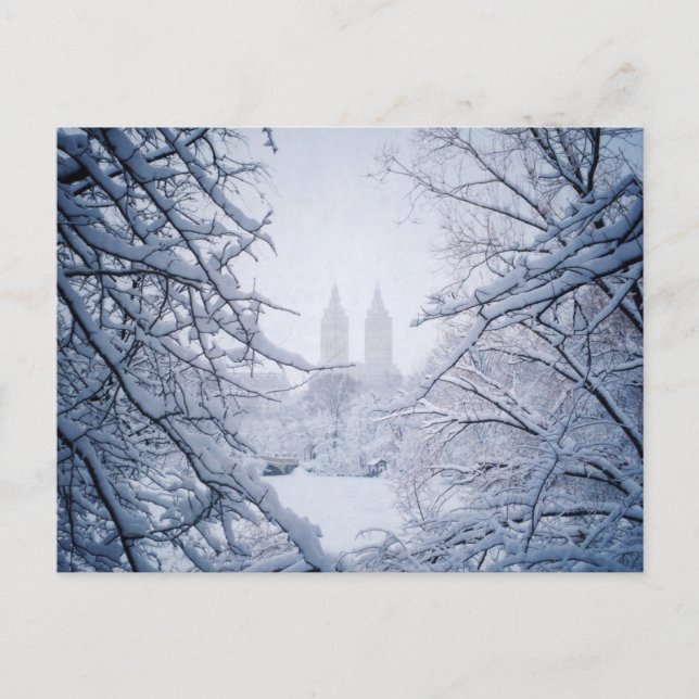 Central Park Framed In Snow and Ice Postcard (Front)