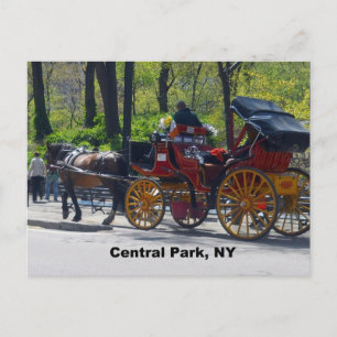Central Park, Horse and Carriage Postcard