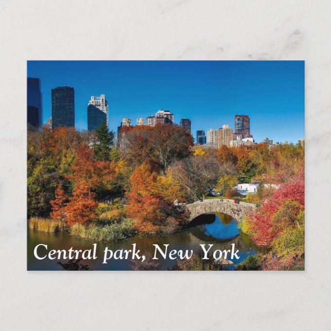 Central park in autumn foliage New York Postcard (Front)