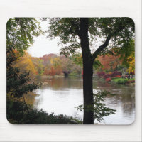 Central Park in Fall Mousepad