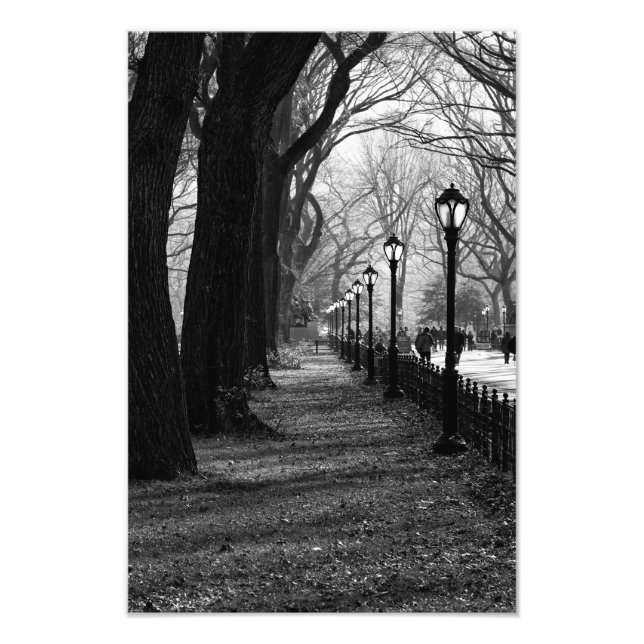 Central Park in New York City Photo Print (Front)