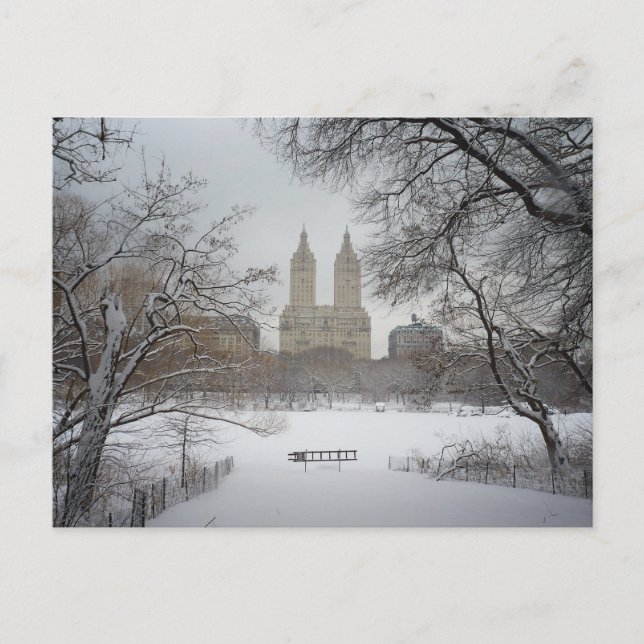Central Park in the Snow, New York City Postcard (Front)