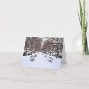 'Central Park in Winter' Holiday Card - Season