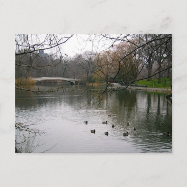 Central Park Lake NYC New York City Travel Photo Postcard (Front)