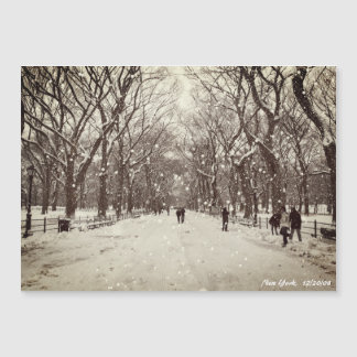 Central Park Magnetic Card