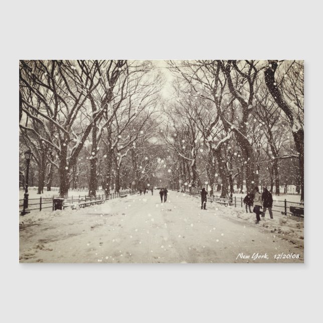 Central Park Magnetic Card (Front)