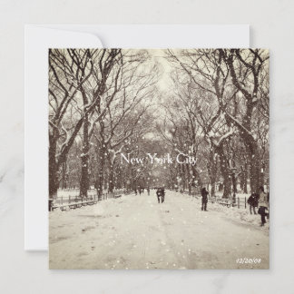 Central Park Magnetic Card