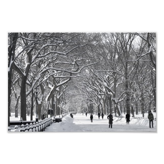 Central Park Mall Winter Scene Photo Print (Front)