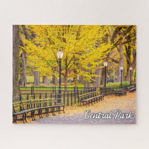 Central Park, Manhattan, New York, USA Jigsaw Puzzle
