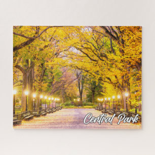 Central Park, Manhattan, New York, USA Jigsaw Puzzle