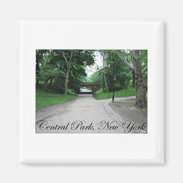 Central Park, New York 2 Magnet (Front)
