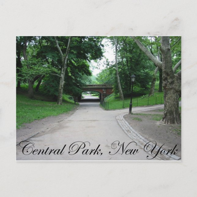 Central Park, New York 2 Postcard (Front)