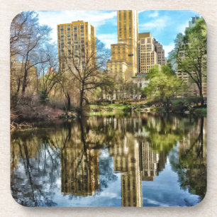 Central Park New York City NYC Coaster