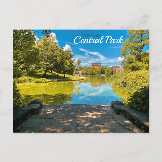 Central Park, New York City Postcard (Front)