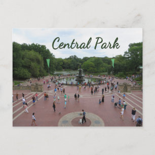 Central Park New York City Postcard