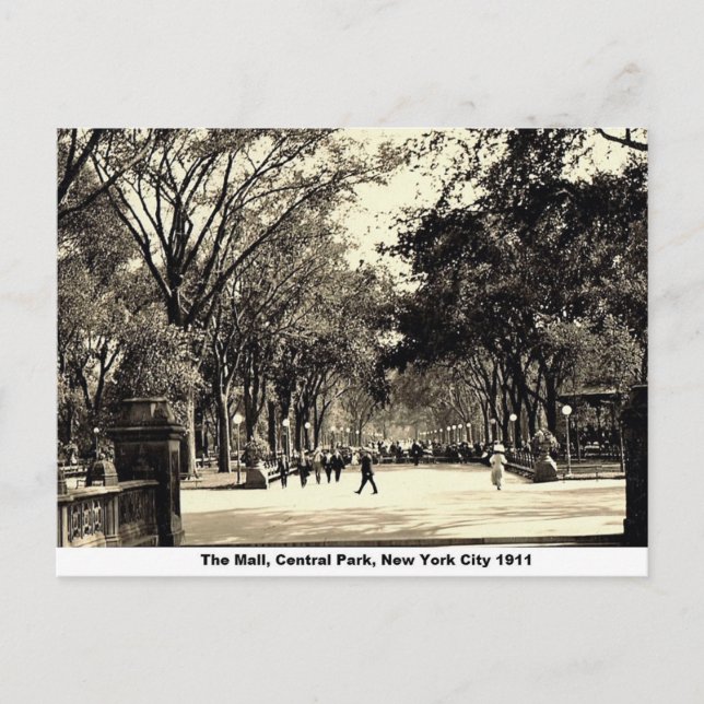 Central Park, New York City, Vintage Postcard (Front)