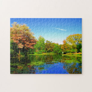 Central Park New York. Jigsaw Puzzle