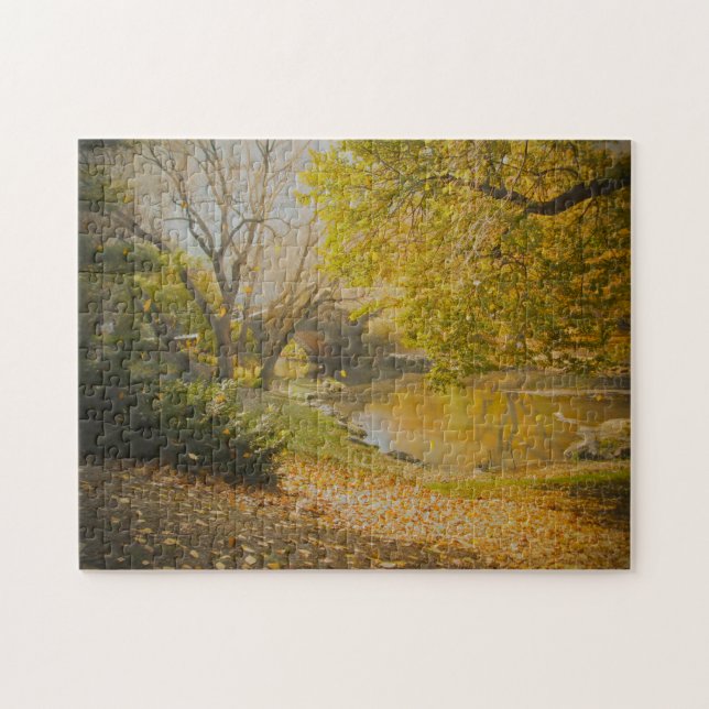 Central Park New York. Jigsaw Puzzle (Horizontal)
