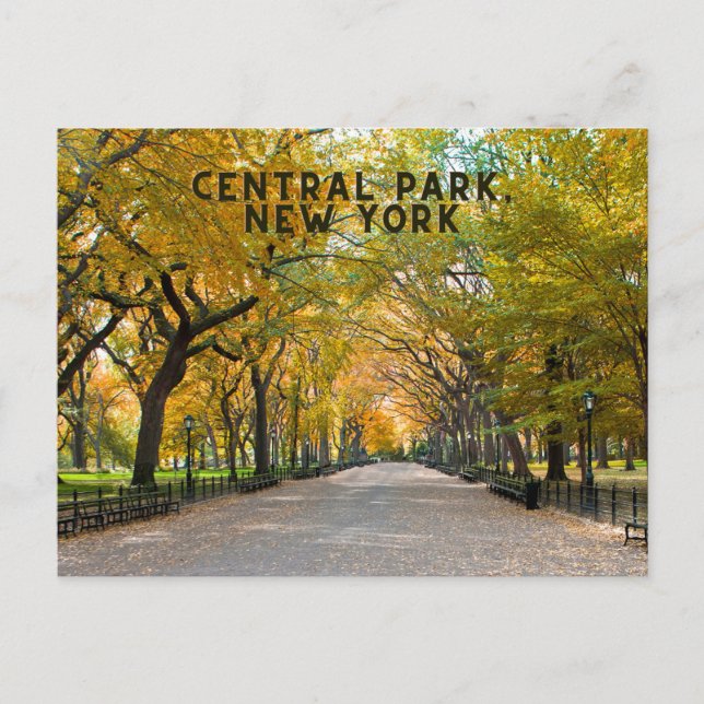 Central Park, New York Postcard Souvenir (Front)