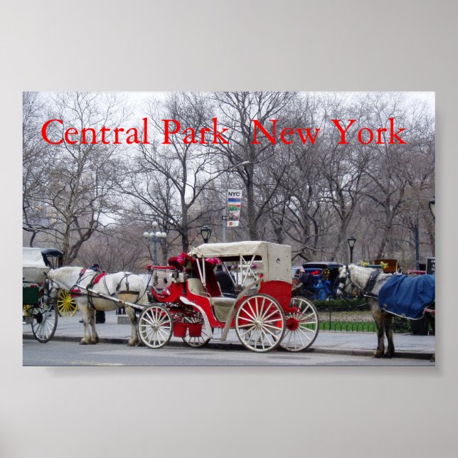 Central Park / New York Poster (Front)