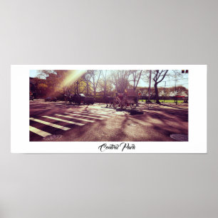 CENTRAL PARK NEW YORK  POSTER