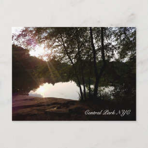 Central Park New York Summer Sunlight on the Pond Postcard