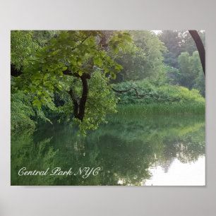 Central Park New York Turtle Pond in Summer Poster