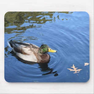 Central Park NYC Conservatory Water Mallard Duck Mouse Pad