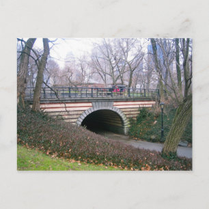 Central Park NYC Stone Archway New York City Photo Postcard