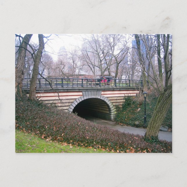 Central Park NYC Stone Archway New York City Photo Postcard (Front)