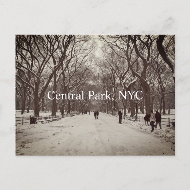 Central Park Postcard (Front)