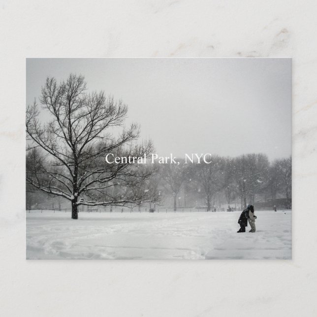Central park, Postcard (Front)