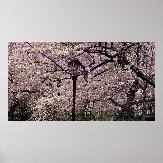 Central Park Poster (Front)