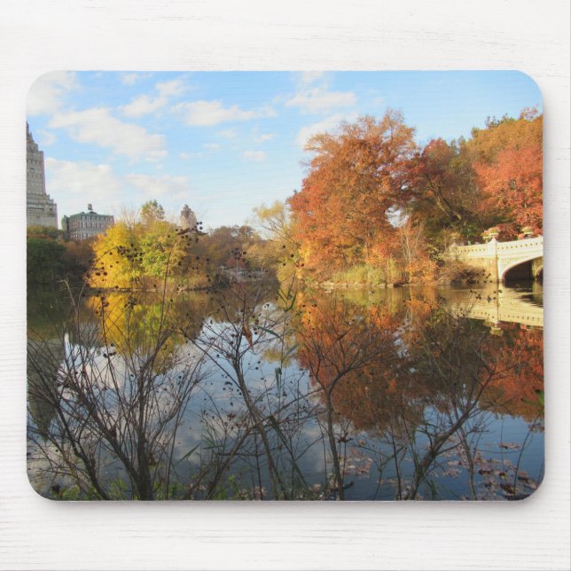 Central Park Reflections in Autumn Mouse Pad (Front)