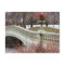 Central Park’s Bow Bridge Photo