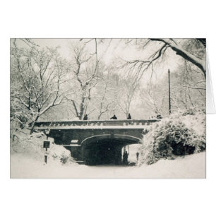 central park snow