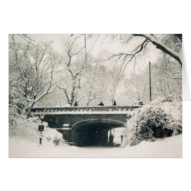 central park snow (Front Horizontal)