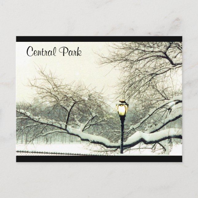 central park snow tree postcard (Front)