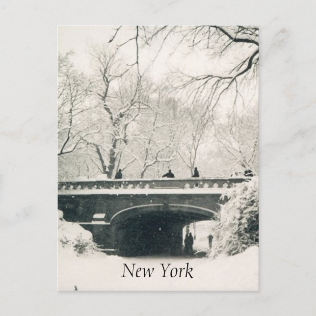 central park snow white postcard (Front)
