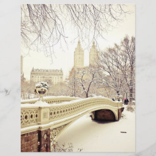 Central Park Snow - Winter New York
