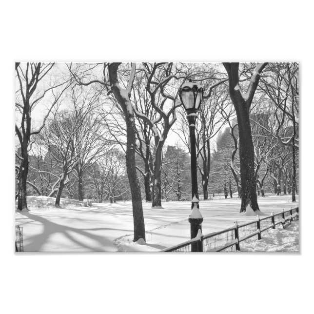 Central Park Snowfall B&W Photo Print (Front)