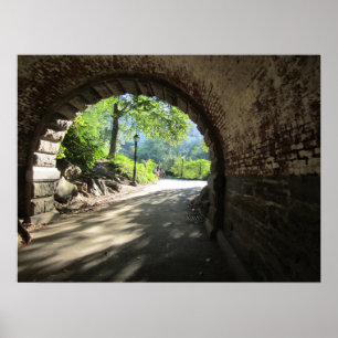 Central Park tunnel Poster
