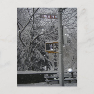 Central Park West New York City Snow NYC Blizzard Postcard